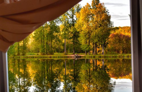 Dôme géodésique - Glamping